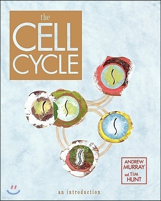 The Cell Cycle: An Introduction