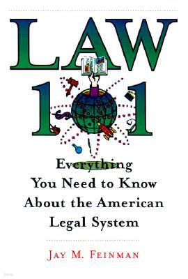 Law 101: Everything You Need to Know about the American Legal System