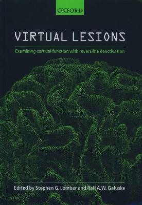 Virtual Lesions