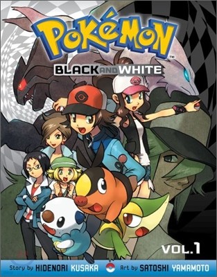 Pokemon Black and White #1