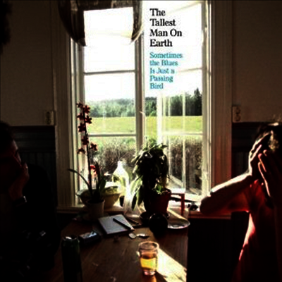 The Tallest Man On Earth - Sometimes The Blues Is Just A Passing Bird (LP)