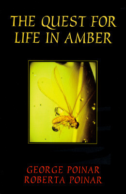 Quest for Life in Amber