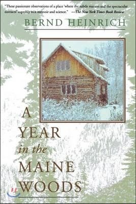 A Year in the Maine Woods