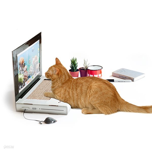 [원더스토어] 썩유케이 노트북 고양이 스크래쳐