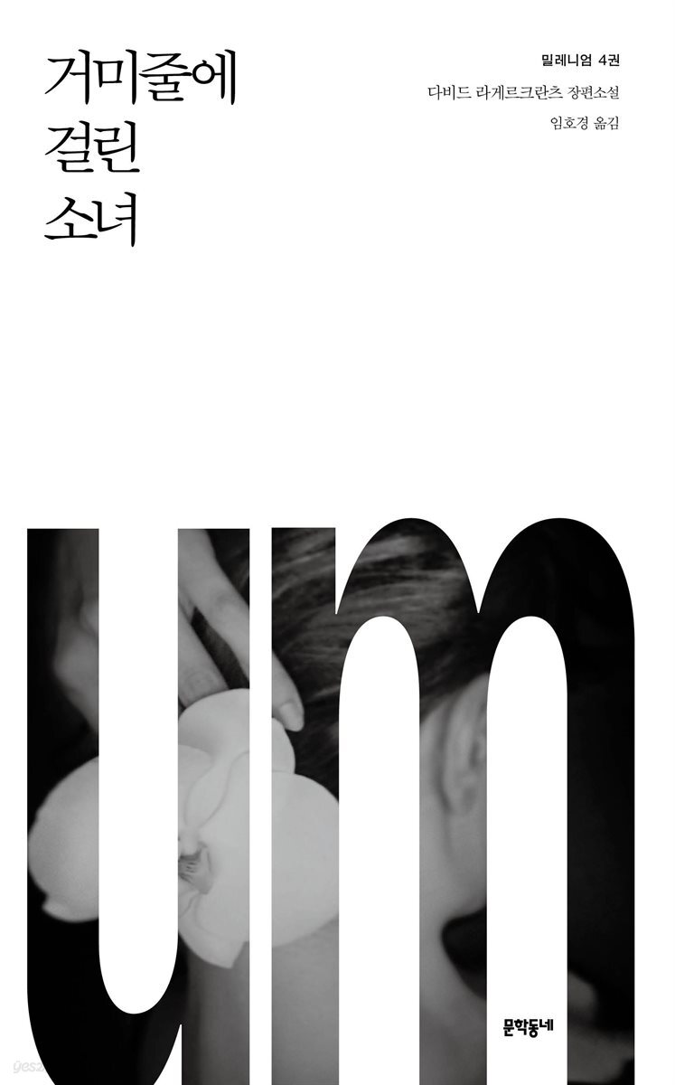 거미줄에 걸린 소녀 - 밀레니엄 4권