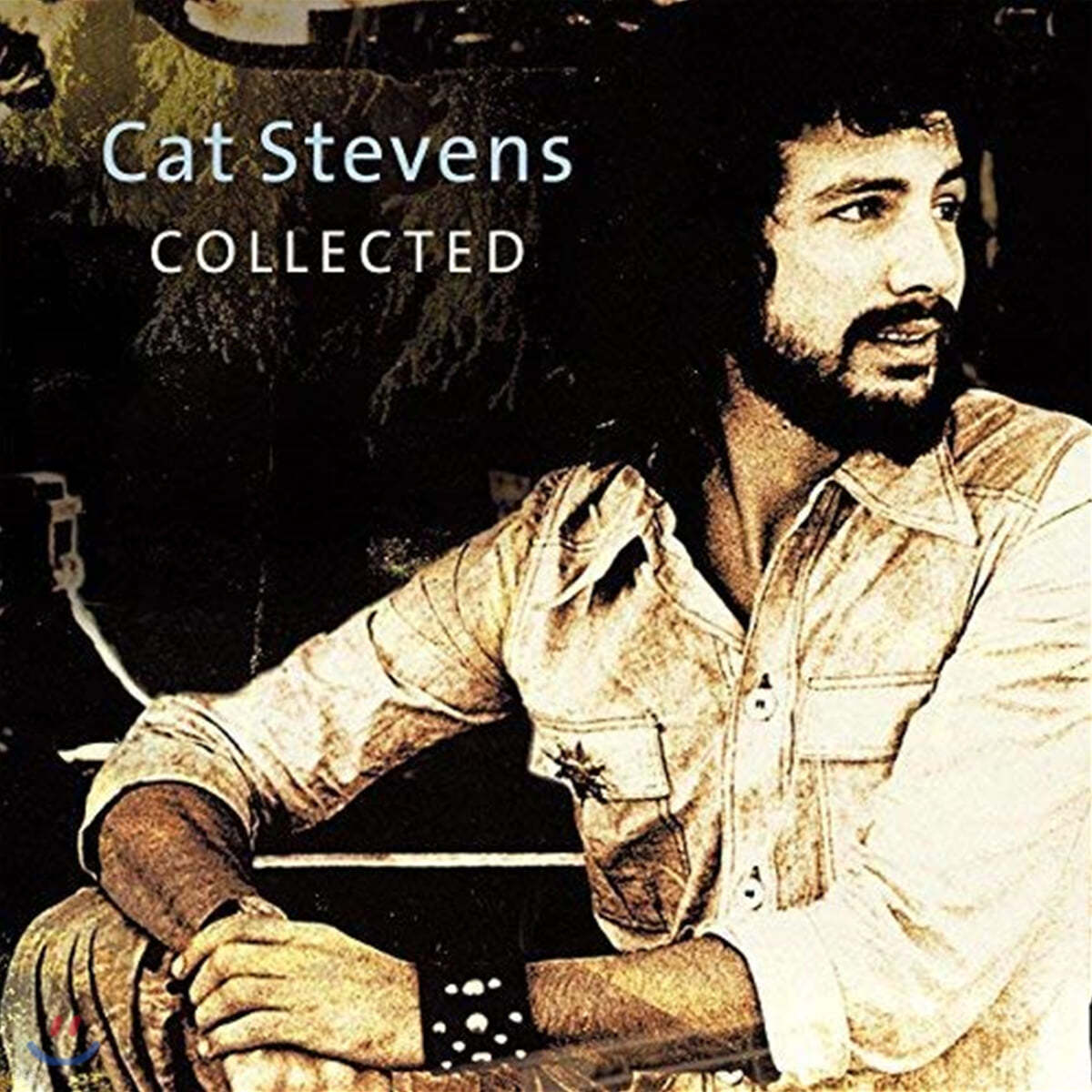 Cat Stevens (캣 스티븐스) - Collected [블랙반 2LP]