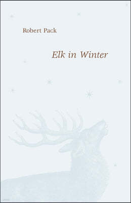 Elk in Winter