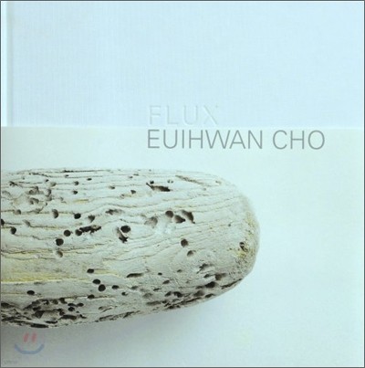 FLUX 흐름 EUIHWAN CHO