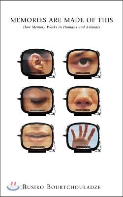 Memories Are Made of This: How Memory Works in Humans and Animals