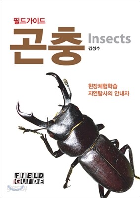 곤충