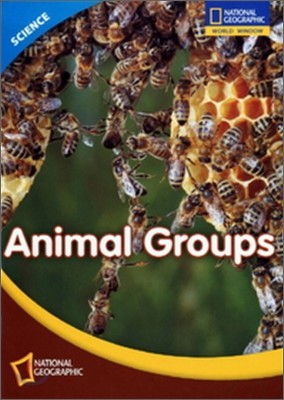 [National Geographic] World Window - Science - Level 3.5 Animal Groups SET