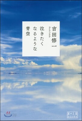 泣きたくなるような靑空