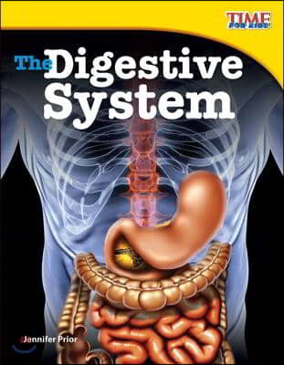 The Digestive System