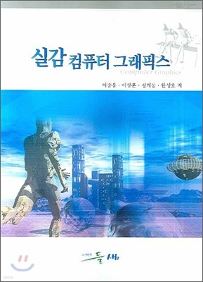 실감 컴퓨터 그래픽스