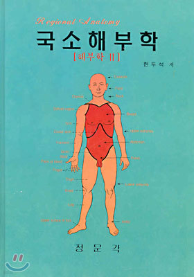 국소해부학