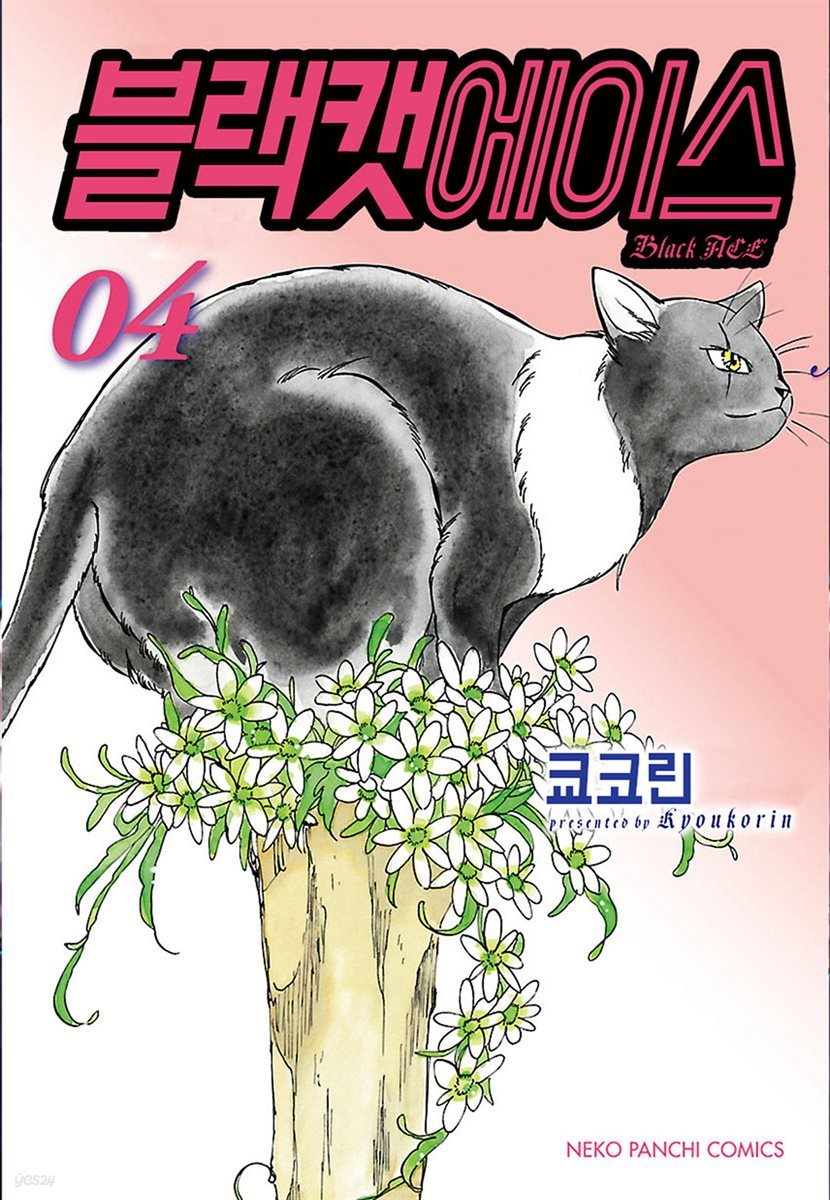 블랙캣에이스 04권 (완결)