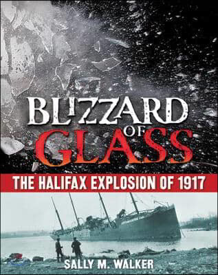 Blizzard of Glass