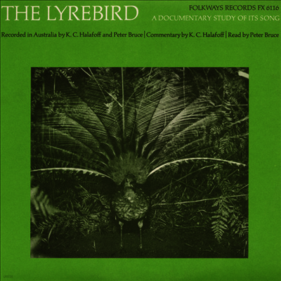 Peter Bruce - The Lyrebird: A Documentary Study Of Its Song (CD)