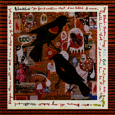 Steve Earle — Just An American Boy (Live) 앨범 커버