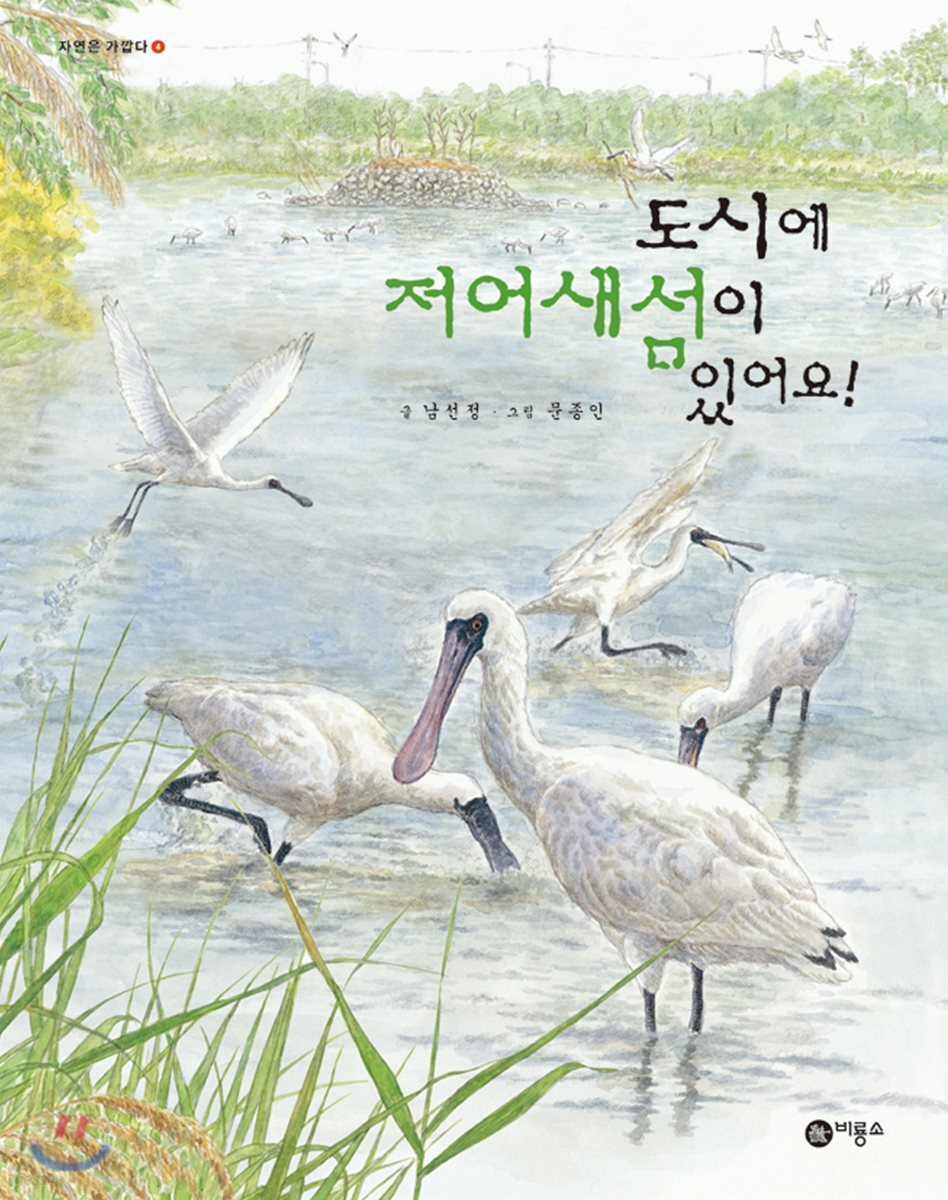 도시에 저어새섬이 있어요!