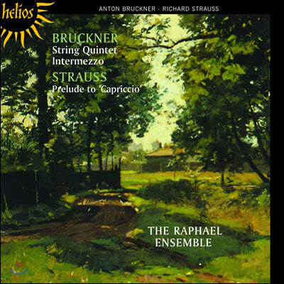 The Raphael Ensemble ũ:  5 / R.Ʈ콺: īġ 