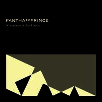Pantha Du Prince — Xi Versions Of Black Noise 앨범 커버