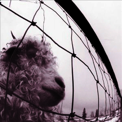 Pearl Jam — Vs (Remastered) 앨범 커버