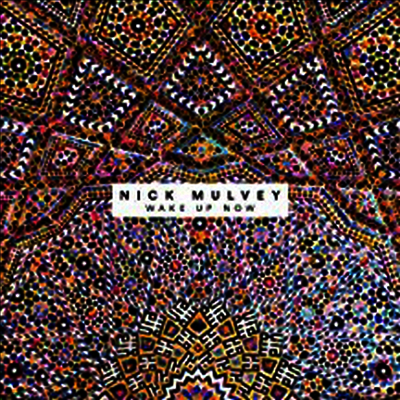 Nick Mulvey — Wake Up Now 앨범 커버