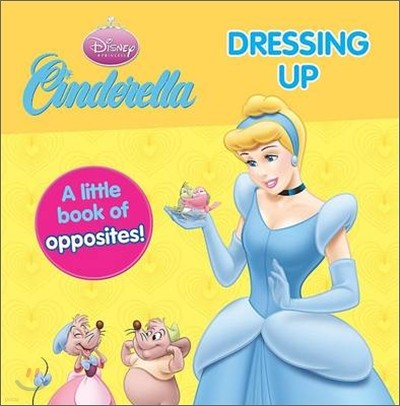 Disney Ciderella : Dressing Up