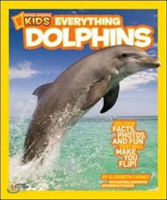 Everything Dolphins