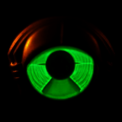 My Morning Jacket — Circuital 앨범 커버