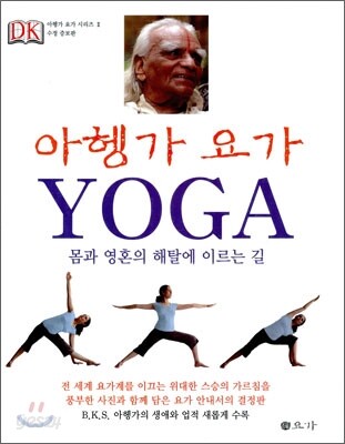 아헹가 요가