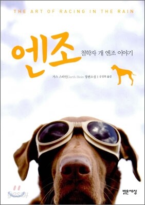 엔조
