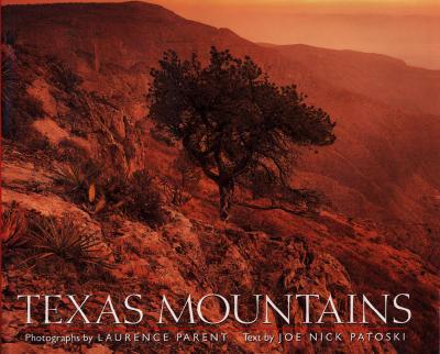 Texas Mountains