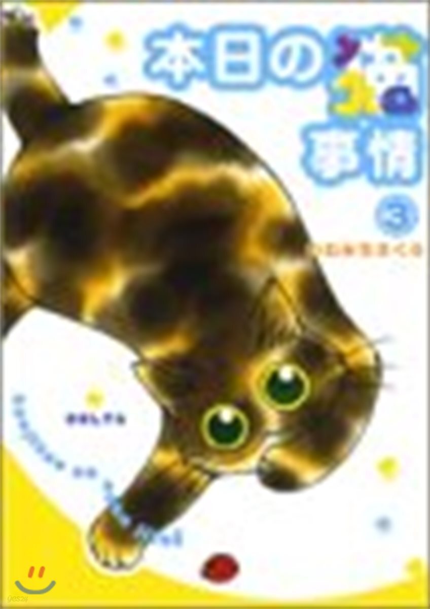 本日の猫事情   3