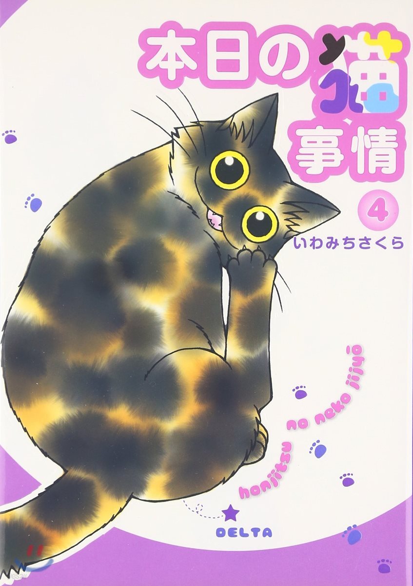本日の猫事情   4