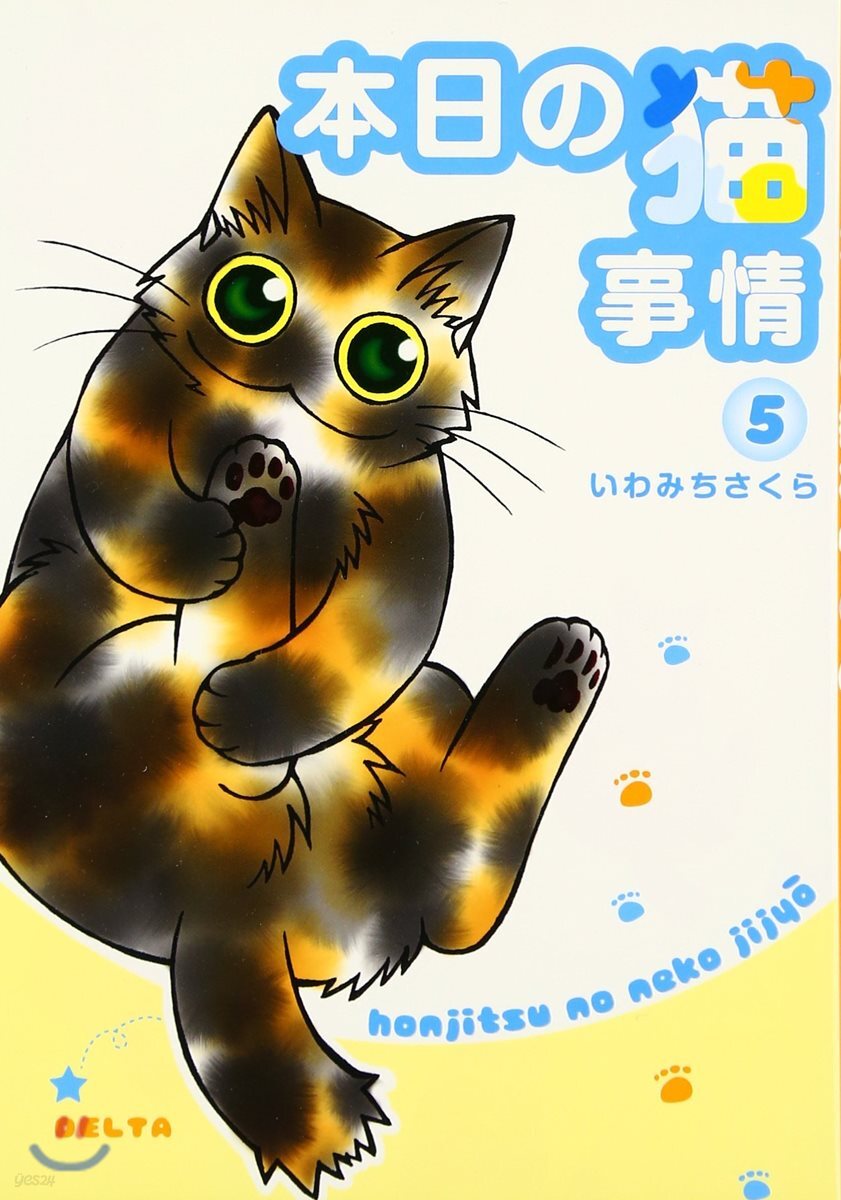 本日の猫事情   5