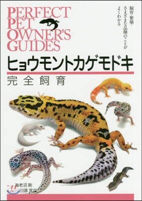 ヒョウモントカゲモドキ完全飼育