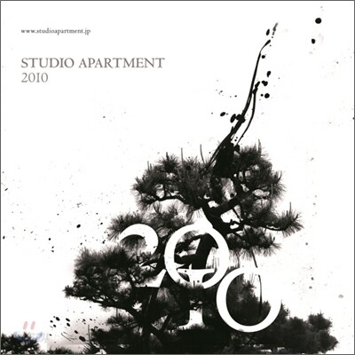 Studio Apartment - 2010
