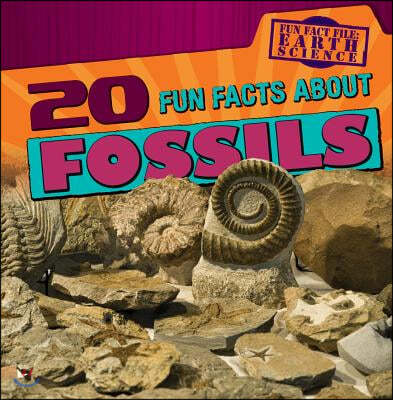 20 Fun Facts about Fossils