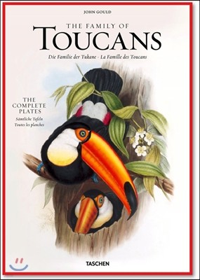 John Gould : Family of Toucans