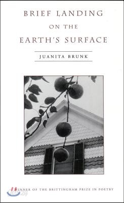 Brief Landing on the Earth's Surface: Volume 1996
