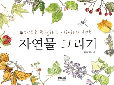 자연물 그리기