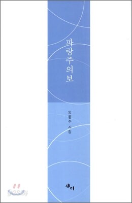 파랑주의보
