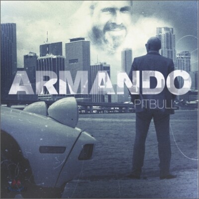 Pitbull - Armando
