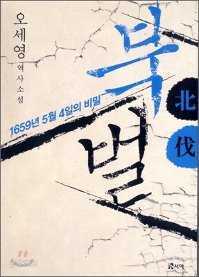 북벌 北伐