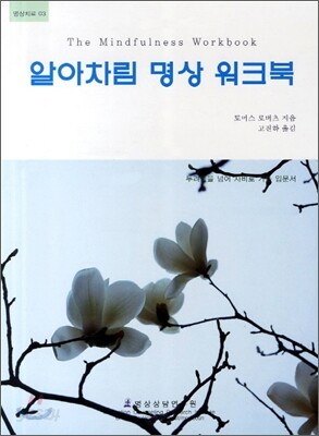 알아차림 명상 워크북