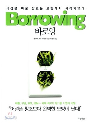 바로잉 Borrowing