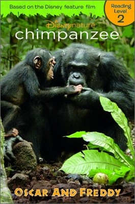 Chimpanzee : Oscar and Freddy