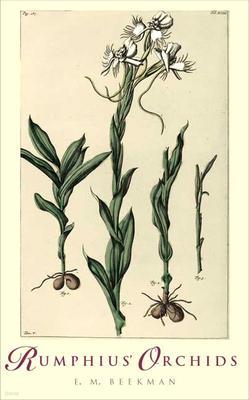 Rumphius' Orchids: Orchid Texts from the Ambonese Herbal